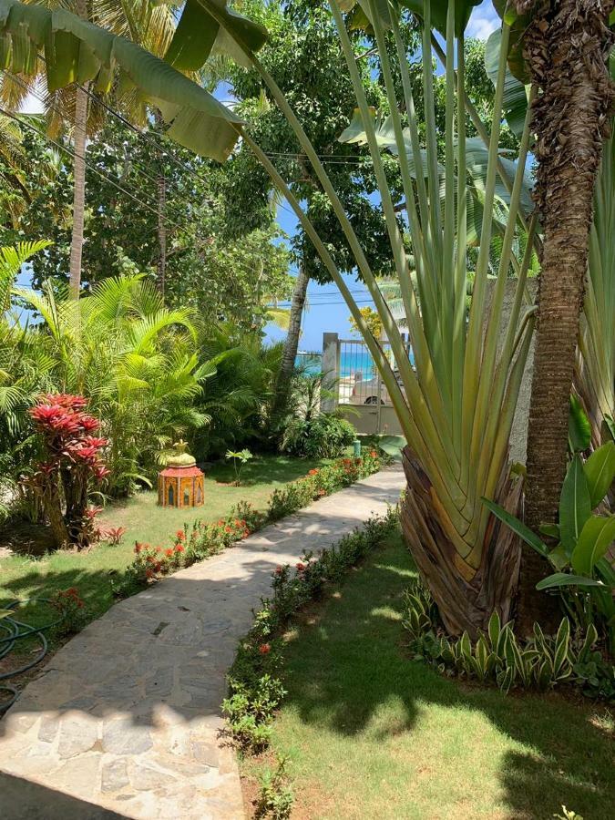 Beach Hotel Casa Nina Las Terrenas Exterior photo