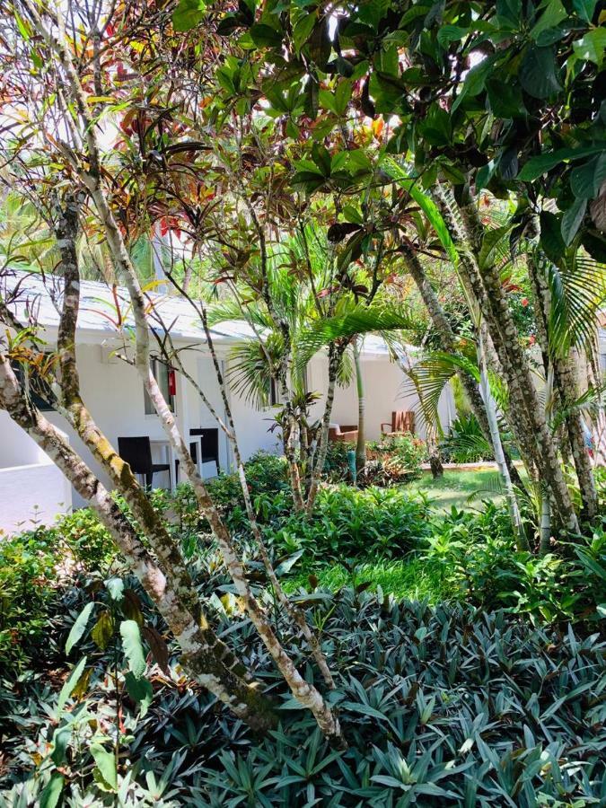 Beach Hotel Casa Nina Las Terrenas Exterior photo