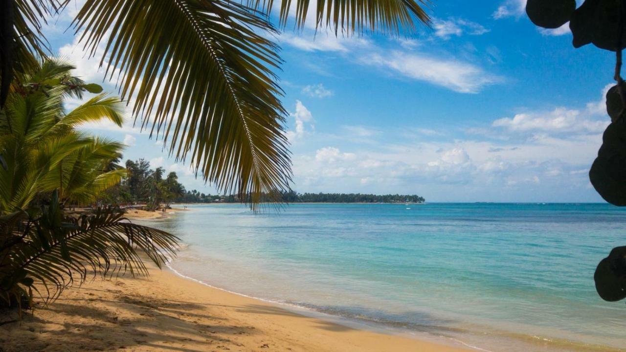 Beach Hotel Casa Nina Las Terrenas Exterior photo