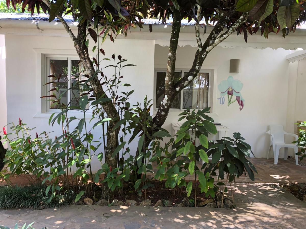Beach Hotel Casa Nina Las Terrenas Exterior photo